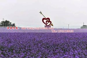 һĲP䓵@P䓵ӰǲP䓵